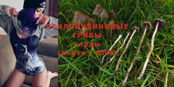 PSILOCYBIN Корсаков