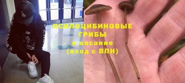 mdpv Костерёво