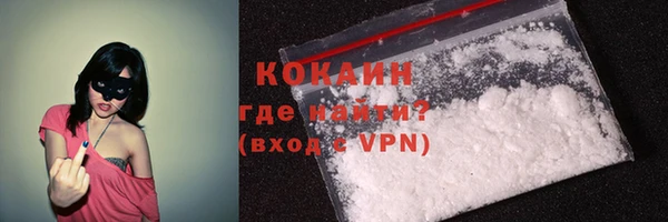 PSILOCYBIN Корсаков