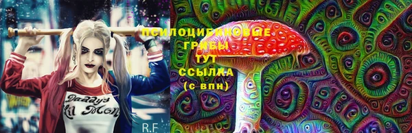 PSILOCYBIN Корсаков