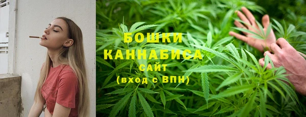 PSILOCYBIN Корсаков