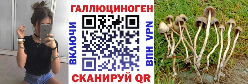 Псилоцибиновые грибы MAGIC MUSHROOMS  Купить где  Благовещенск 